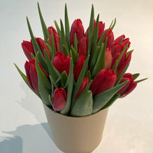 Indlæs billede til gallerivisning Flot tulipan gaveæske