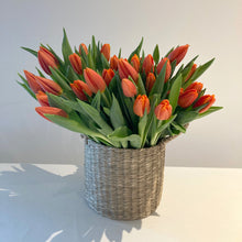 Indlæs billede til gallerivisning Tulipaner i kurv
