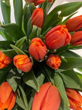 Indlæs billede til gallerivisning Tulipaner i kurv
